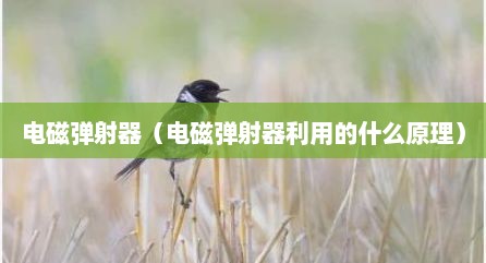 电磁弹射器（电磁弹射器利用的什么原理）