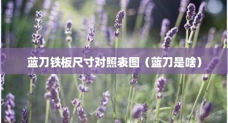 蓝刀铁板尺寸对照表图（蓝刀是啥）