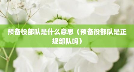 预备役部队是什么意思（预备役部队是正规部队吗）