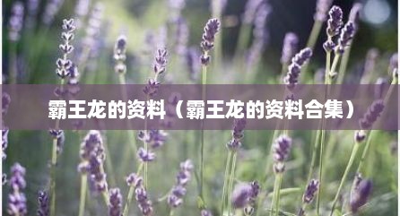 霸王龙的资料（霸王龙的资料合集）