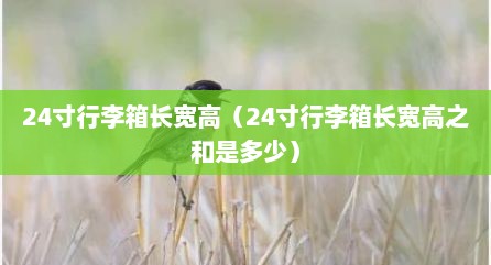 24寸行李箱长宽高（24寸行李箱长宽高之和是多少）