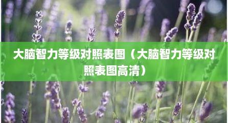 大脑智力等级对照表图（大脑智力等级对照表图高清）