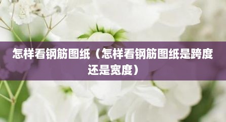 怎样看钢筋图纸（怎样看钢筋图纸是跨度还是宽度）