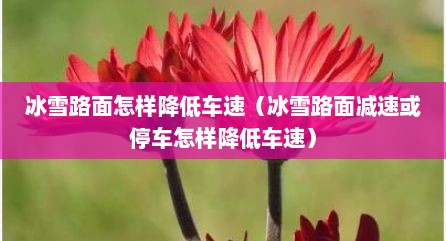 冰雪路面怎样降低车速（冰雪路面减速或停车怎样降低车速）