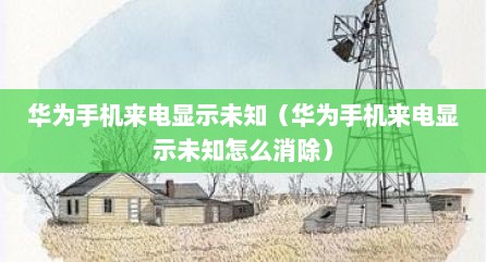 华为手机来电显示未知（华为手机来电显示未知怎么消除）