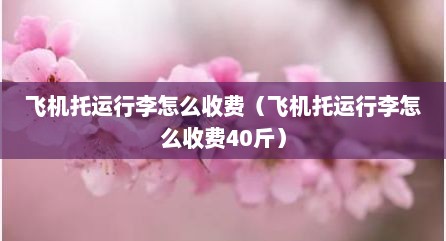 飞机托运行李怎么收费（飞机托运行李怎么收费40斤）