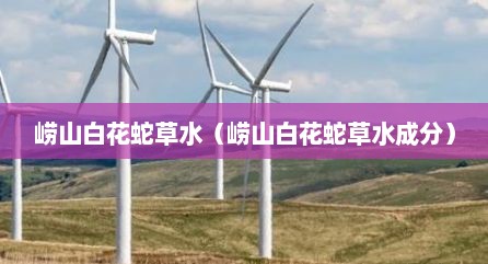 崂山白花蛇草水（崂山白花蛇草水成分）