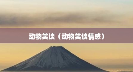 动物笑谈（动物笑谈情感）