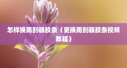 怎样换雨刮器胶条（更换雨刮器胶条视频教程）