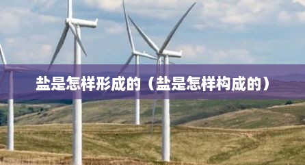 盐是怎样形成的（盐是怎样构成的）