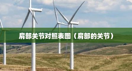 肩部关节对照表图（肩部的关节）