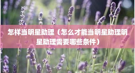 怎样当明星助理（怎么才能当明星助理明星助理需要哪些条件）
