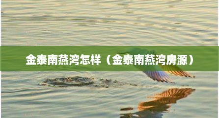 金泰南燕湾怎样（金泰南燕湾房源）