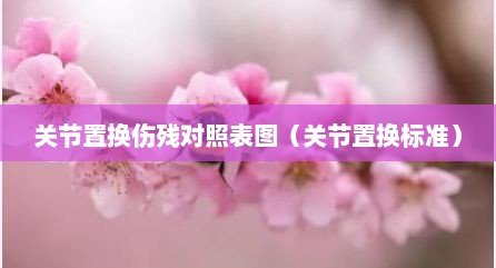 关节置换伤残对照表图（关节置换标准）