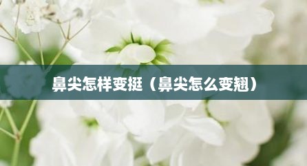 鼻尖怎样变挺（鼻尖怎么变翘）