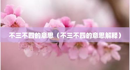 不三不四的意思（不三不四的意思解释）