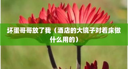 坏蛋哥哥放了我（酒店的大镜子对着床做什么用的）