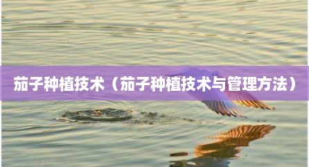 茄子种植技术（茄子种植技术与管理方法）