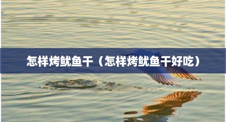 怎样烤鱿鱼干（怎样烤鱿鱼干好吃）