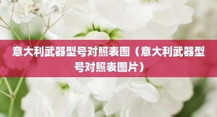 意大利武器型号对照表图（意大利武器型号对照表图片）