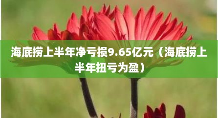 海底捞上半年净亏损9.65亿元（海底捞上半年扭亏为盈）