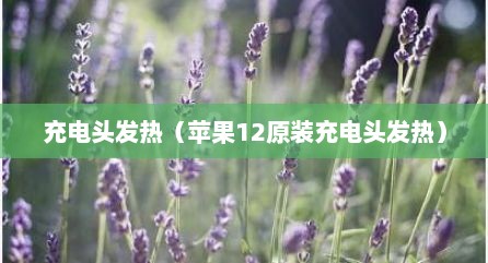 充电头发热（苹果12原装充电头发热）