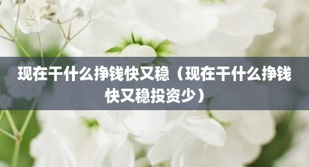 现在干什么挣钱快又稳（现在干什么挣钱快又稳投资少）