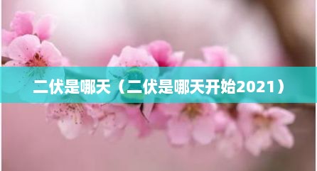 二伏是哪天（二伏是哪天开始2021）