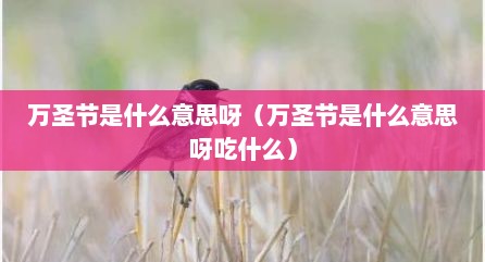 万圣节是什么意思呀（万圣节是什么意思呀吃什么）