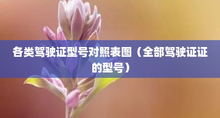 各类驾驶证型号对照表图（全部驾驶证证的型号）