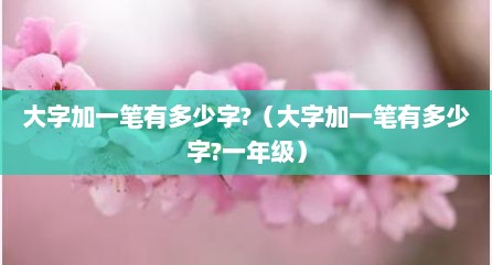 大字加一笔有多少字?（大字加一笔有多少字?一年级）