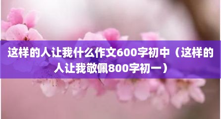 这样的人让我什么作文600字初中（这样的人让我敬佩800字初一）