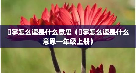 孞字怎么读是什么意思（孞字怎么读是什么意思一年级上册）