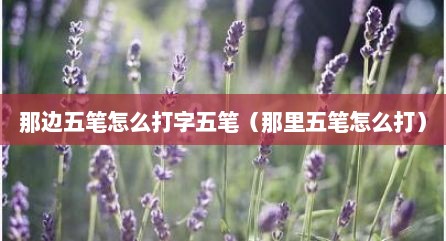 那边五笔怎么打字五笔（那里五笔怎么打）