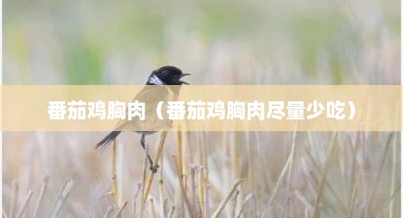 番茄鸡胸肉（番茄鸡胸肉尽量少吃）