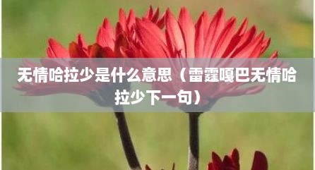 无情哈拉少是什么意思（雷霆嘎巴无情哈拉少下一句）