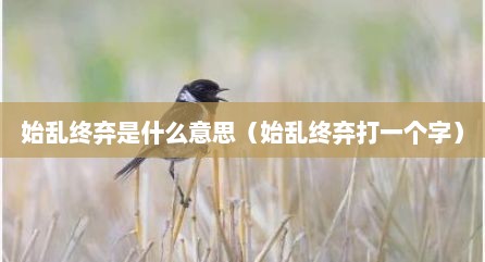 始乱终弃是什么意思（始乱终弃打一个字）