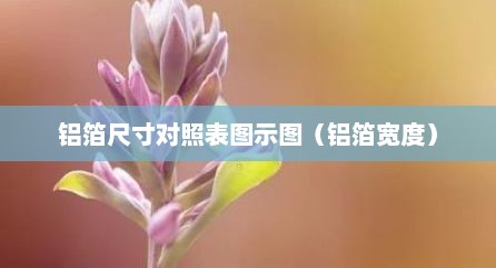 铝箔尺寸对照表图示图（铝箔宽度）