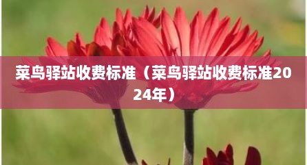菜鸟驿站收费标准（菜鸟驿站收费标准2024年）