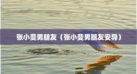 张小斐男朋友（张小斐男朋友安导）