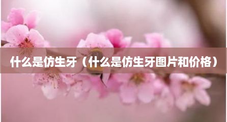 什么是仿生牙（什么是仿生牙图片和价格）
