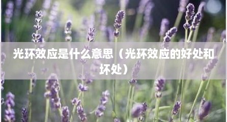 光环效应是什么意思（光环效应的好处和坏处）