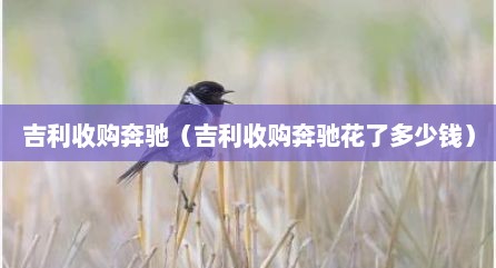 吉利收购奔驰（吉利收购奔驰花了多少钱）