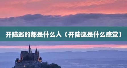 开陆巡的都是什么人（开陆巡是什么感觉）