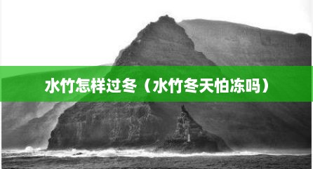 水竹怎样过冬（水竹冬天怕冻吗）