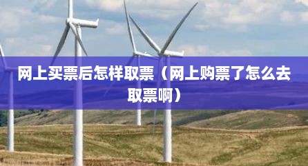 网上买票后怎样取票（网上购票了怎么去取票啊）