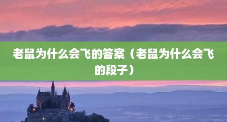 老鼠为什么会飞的答案（老鼠为什么会飞的段子）