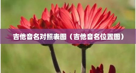吉他音名对照表图（吉他音名位置图）