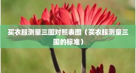 买衣服测量三围对照表图（买衣服测量三围的标准）
