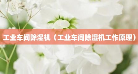 工业车间除湿机（工业车间除湿机工作原理）